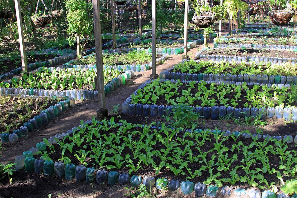 Eco Paraíso Dos Coqueirais Japaratinga