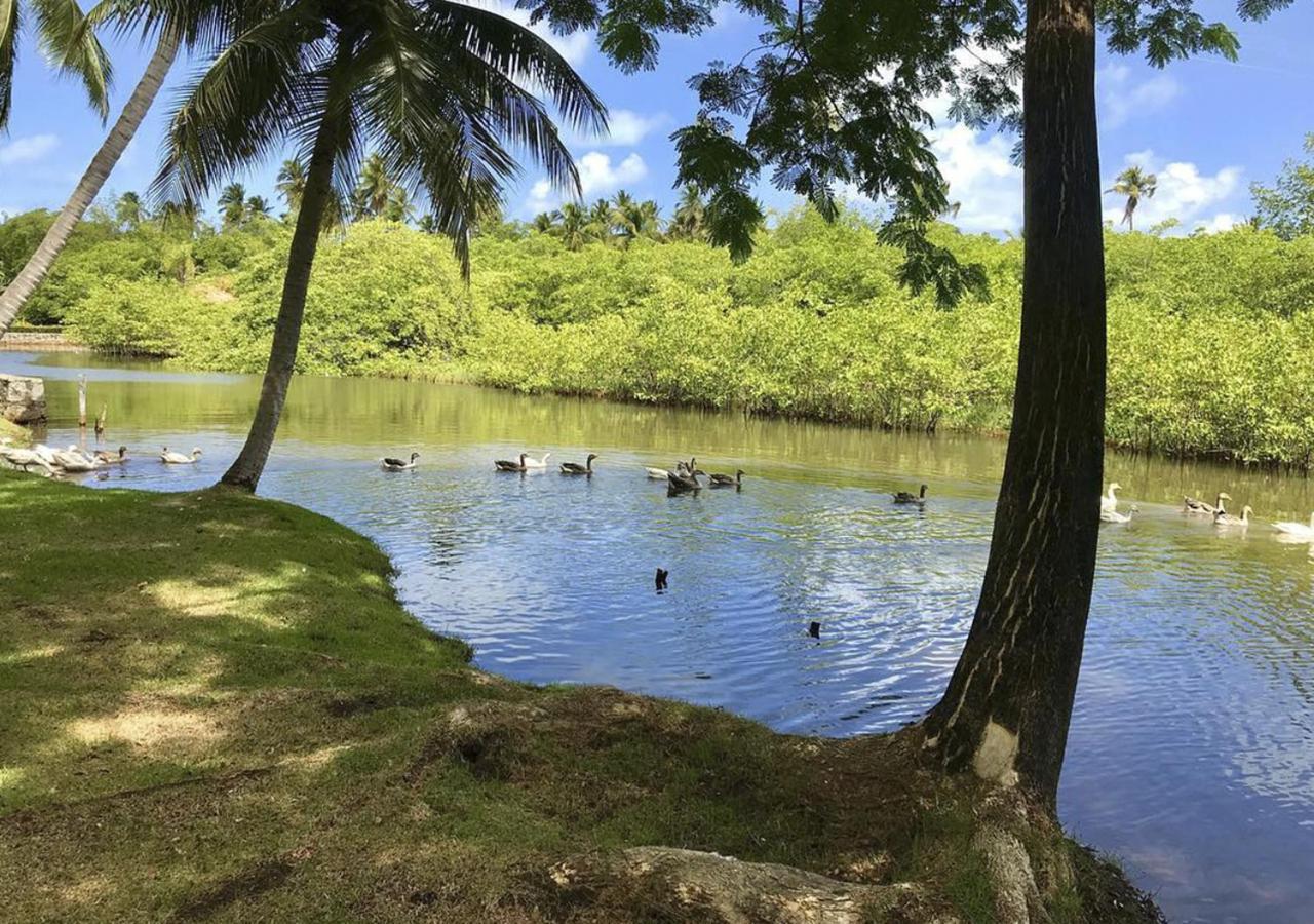 Eco Paraíso Dos Coqueirais Estalagem 2*